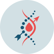 icon-clinical-trial Clinical trial
