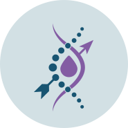 icon-omics Omics